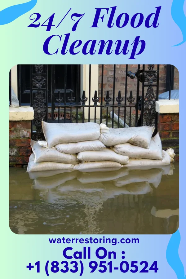 24/7 Flood Cleanup in Hallwood, VA