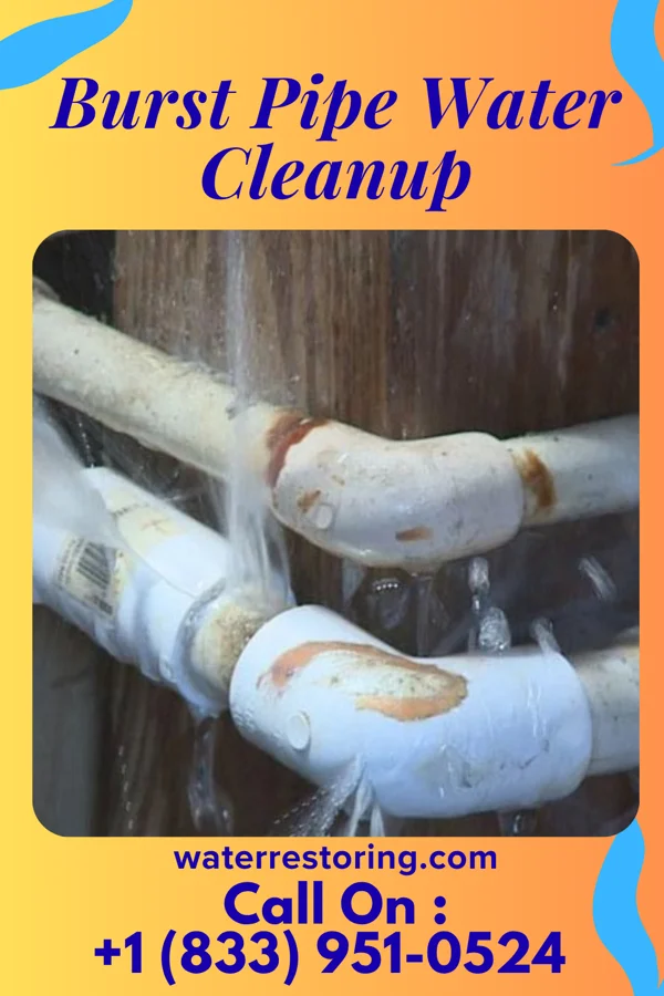 Burst Pipe Water Cleanup in Hallwood, VA
