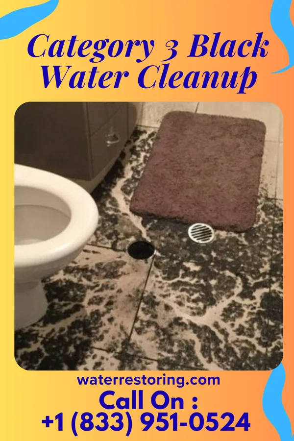 Category 3 Black Water Cleanup in Hallwood, VA