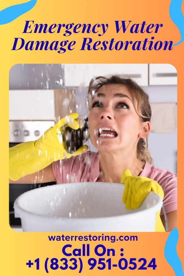 Emergency Water Damage Restoration in Hallwood, VA
