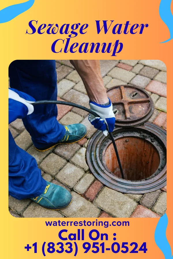 Sewage Water Cleanup in Hallwood, VA
