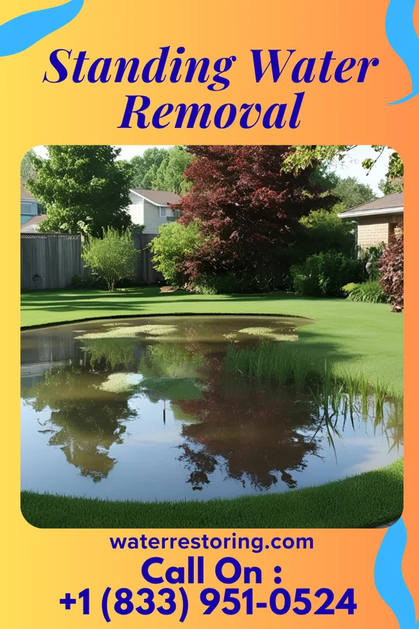 Standing Water Removal in Hallwood, VA